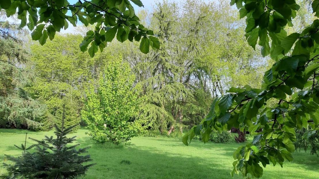 Levaltipis Hotell Saint-Gâtien-des-Bois Eksteriør bilde