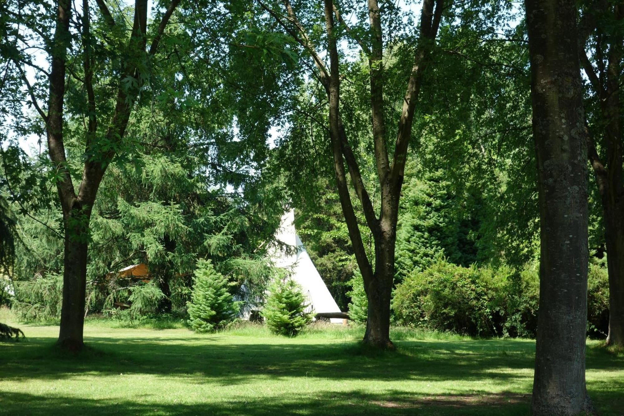 Levaltipis Hotell Saint-Gâtien-des-Bois Eksteriør bilde