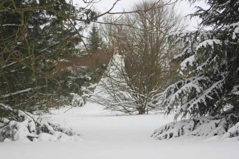 Levaltipis Hotell Saint-Gâtien-des-Bois Rom bilde